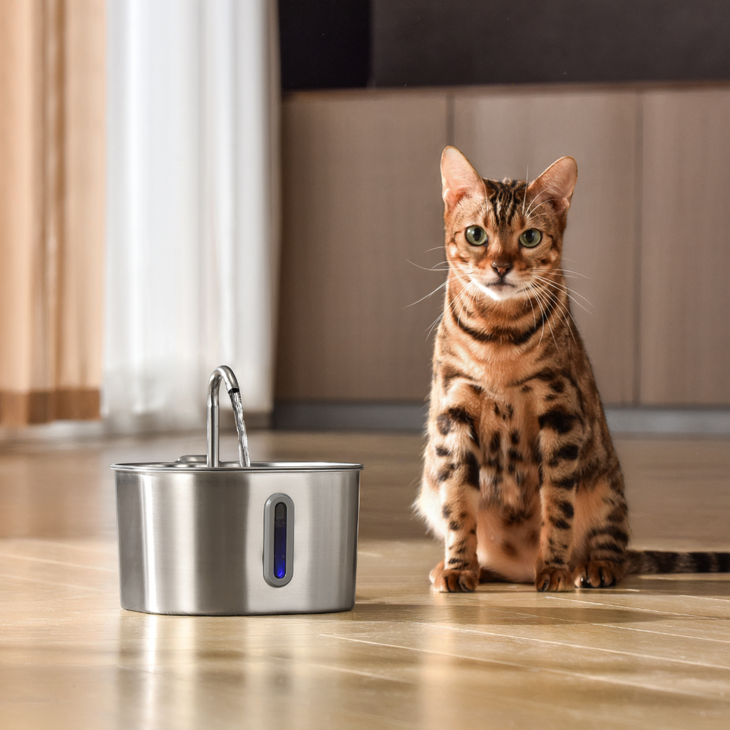2.2L Water Fountain