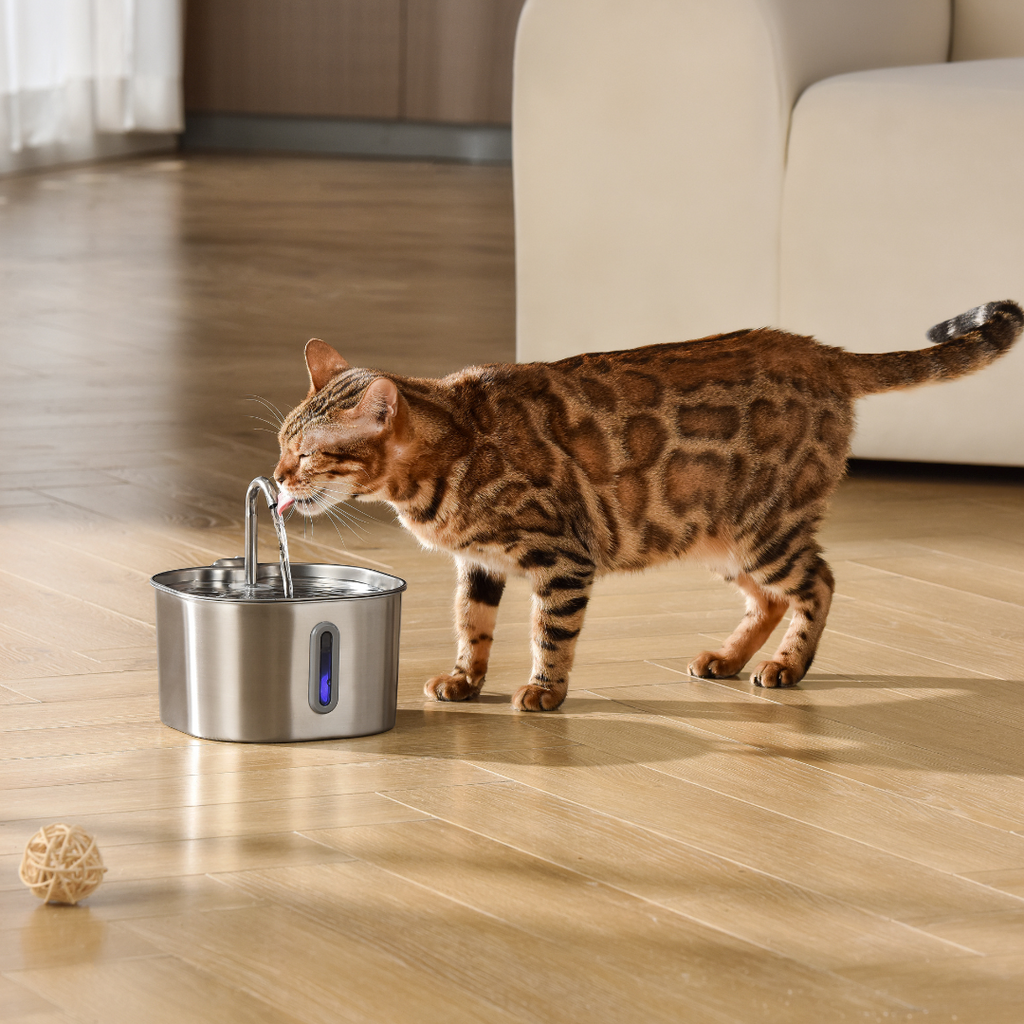 2.2L Water Fountain