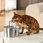 2.2L Water Fountain - Cat drinking beside the fountain on a table