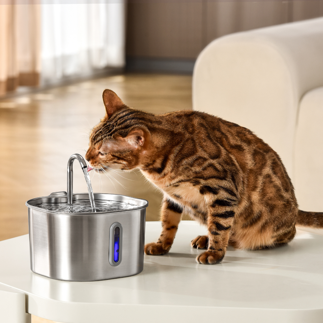 2.2L Water Fountain - Cat drinking beside the fountain on a table
