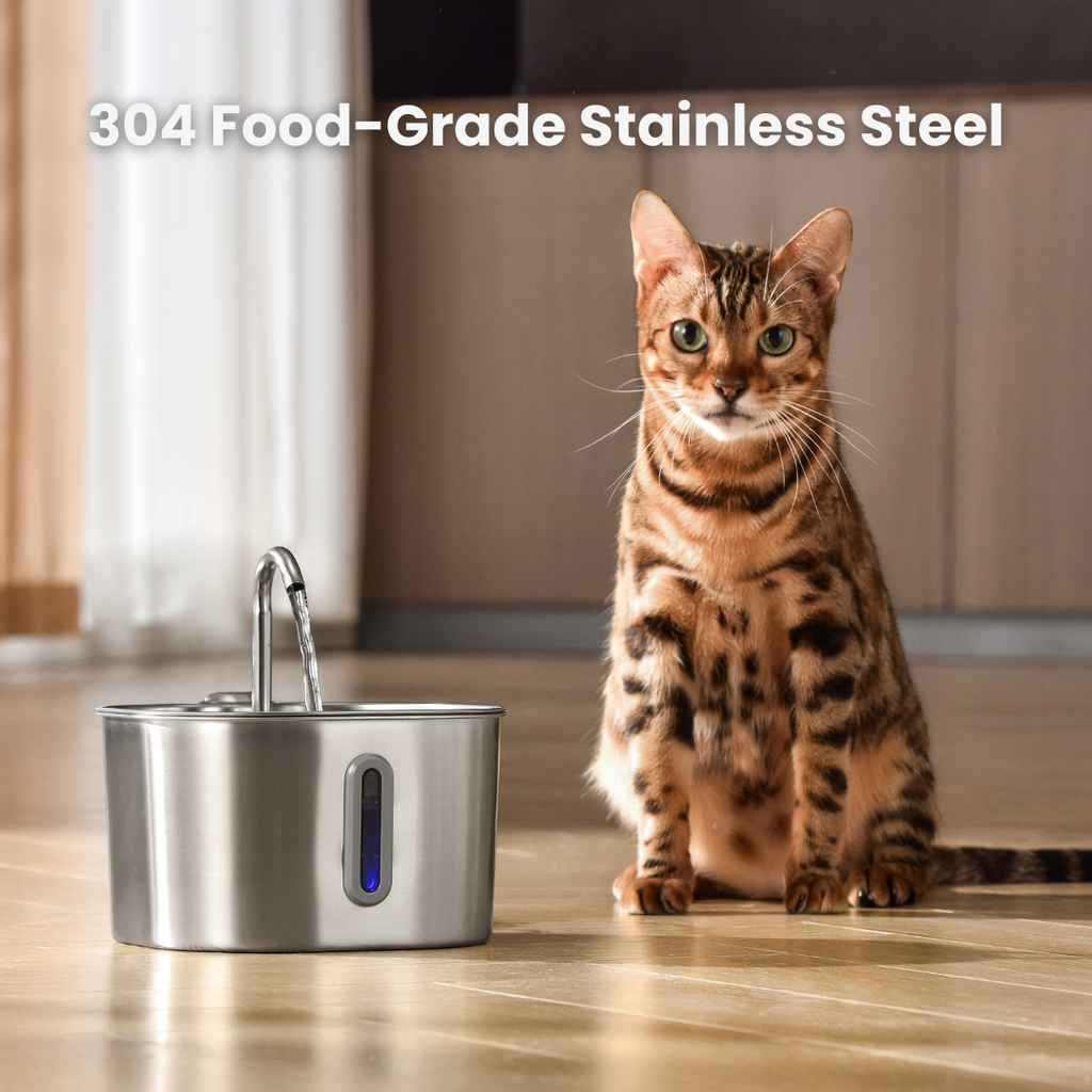2.2L Water Fountain - 304 food-grade stainless steel fountain