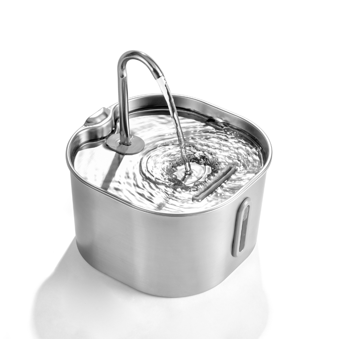 2.2L Water Fountain - 2.2L fountain viewed from above