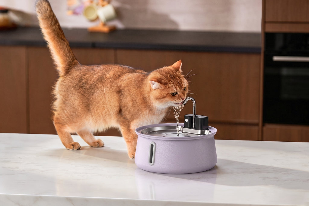 Wireless Water Fountain